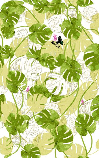 414467-芭蕉蝶（大小三色共四版）