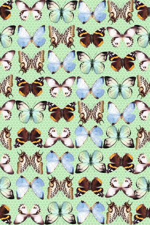 蝴蝶印花华亿平台图片