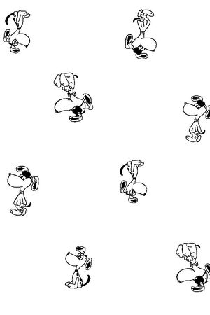 动物印花华亿平台图片