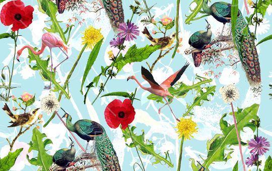 玫瑰印花华亿平台图片