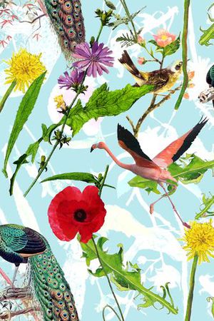 玫瑰印花华亿平台图片