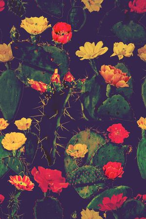 时尚印花华亿平台图片