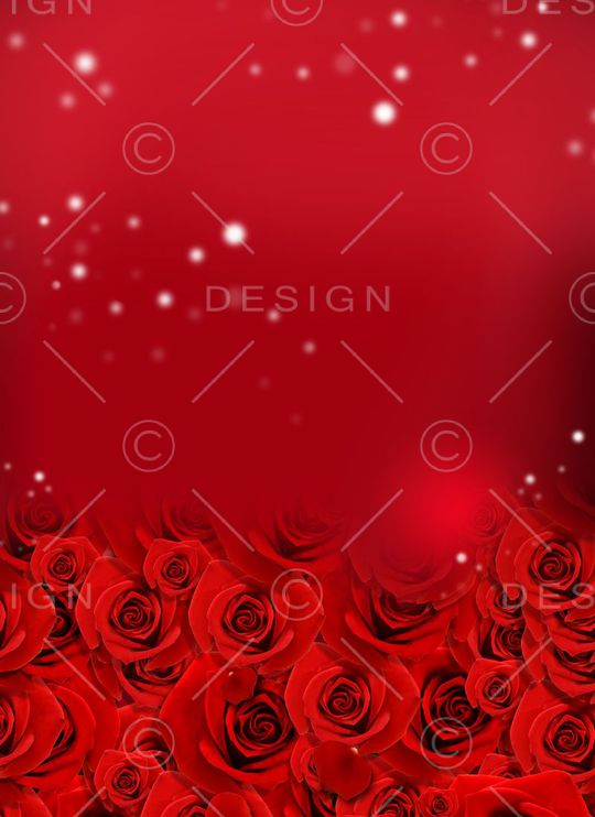 玫瑰印花华亿平台图片