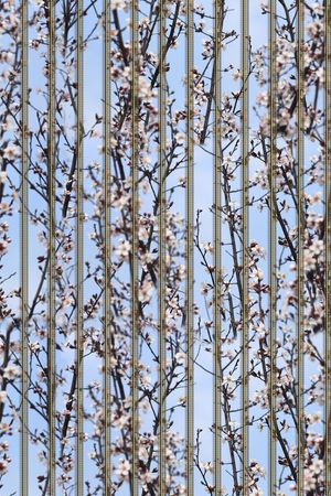 肌理印花华亿平台图片