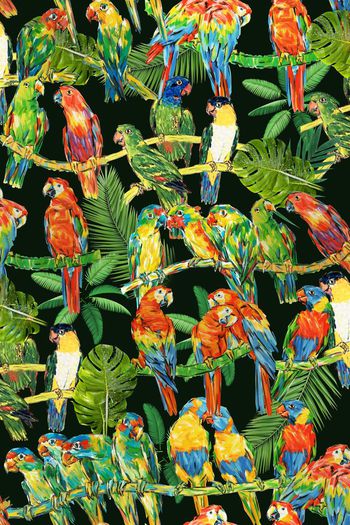 414926-手绘  写意  涂鸦 鸟 鹦鹉 