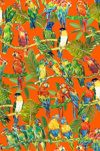 414928-手绘  写意  涂鸦 鸟 鹦鹉 