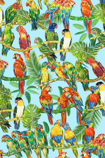 414929-手绘  写意  涂鸦 鸟 鹦鹉 