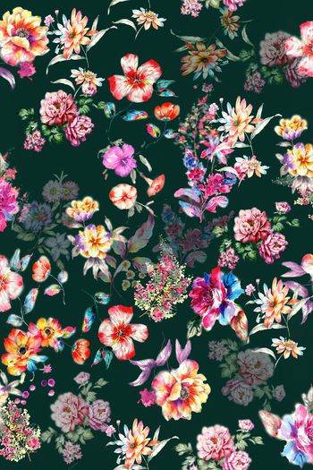 414934-写意 涂鸦花卉 