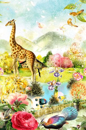 动物印花华亿平台图片