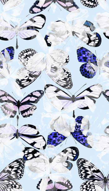 414961-2015031601 梦幻蝶舞-a