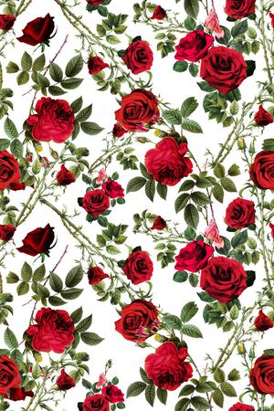 欧式宫廷风印花华亿平台图片