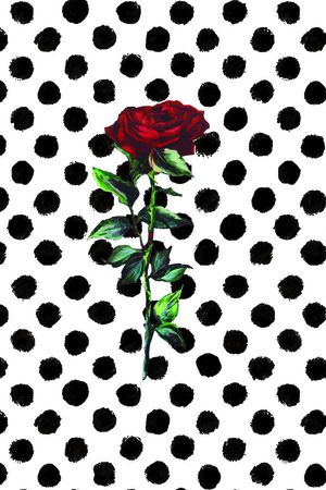 波点玫瑰印花华亿平台图片