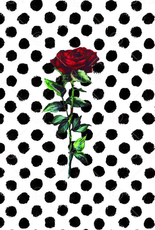 波点玫瑰印花华亿平台图片
