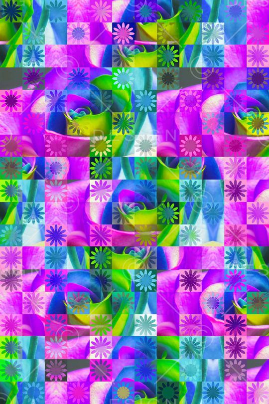 雏菊印花华亿平台图片