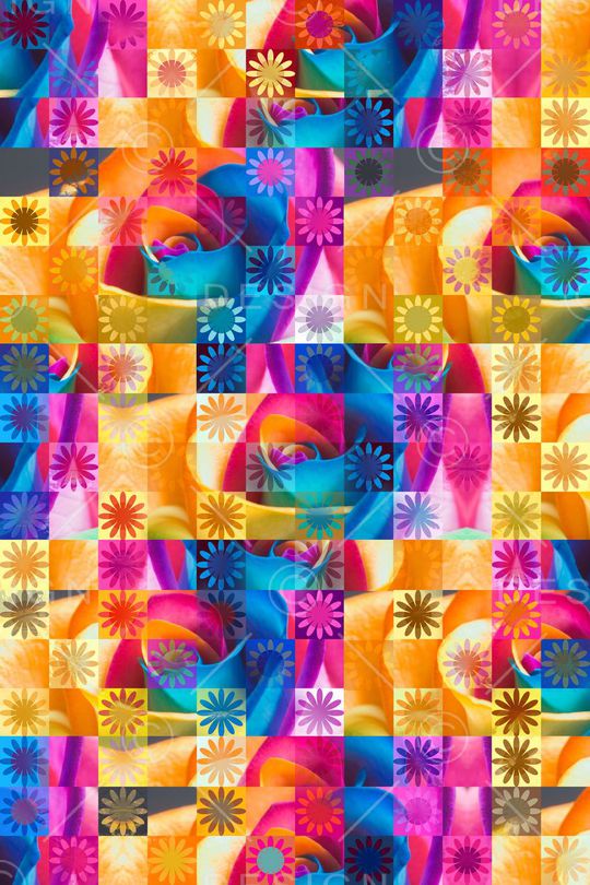 雏菊印花华亿平台图片