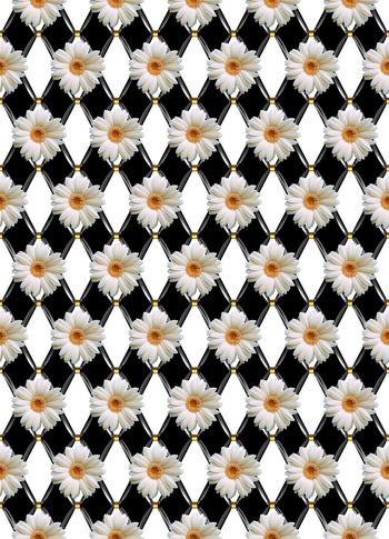 415339-大牌几何图形太阳花雏菊组合