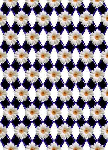 415340-大牌几何图形太阳花雏菊组合