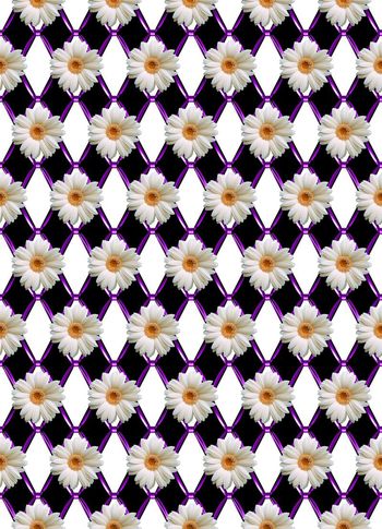 415341-大牌几何图形太阳花雏菊组合