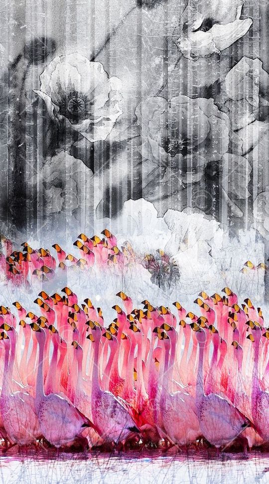 动物印花华亿平台图片