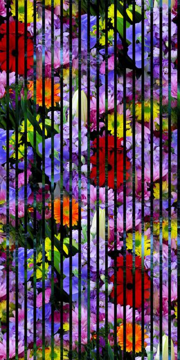 415495-滤色花卉黑色条纹朦胧花卉女装裙装花