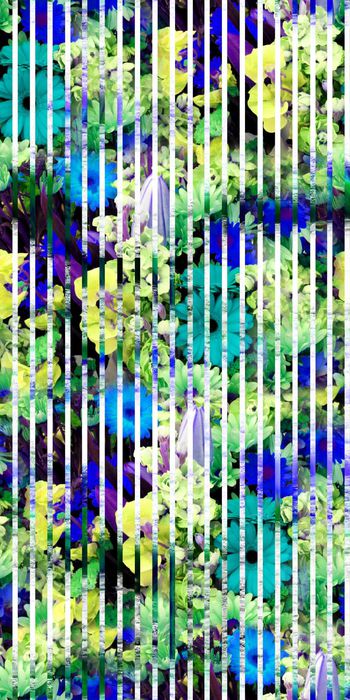 415496-滤色花卉黑色条纹朦胧花卉女装裙装花