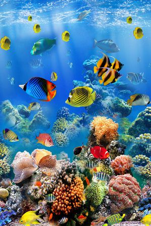 海底印花华亿平台图片