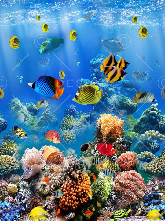 海底印花华亿平台图片