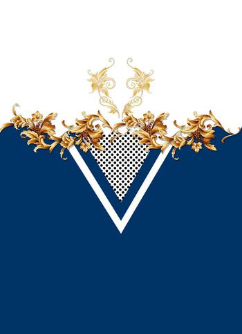 415561-男装衬衫欧美宫廷风数码