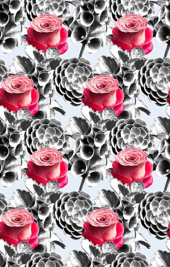 415633-数码 玫瑰 黑白 花卉