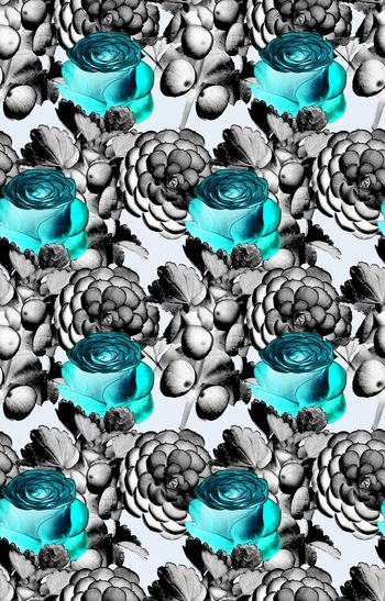 415634-数码 玫瑰 黑白 花卉