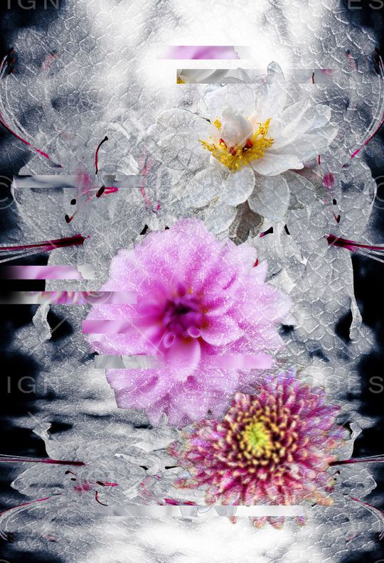 花卉印花华亿平台图片