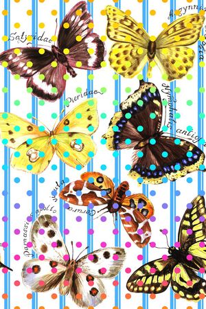 蝴蝶印花华亿平台图片