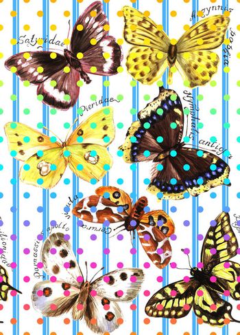 415798-蝴蝶起舞几何条纹彩色圆点组合女装休