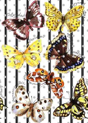 415799-蝴蝶起舞几何条纹彩色圆点组合女装休