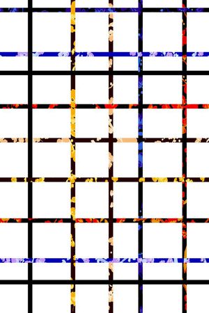 彩色格纹印花华亿平台图片