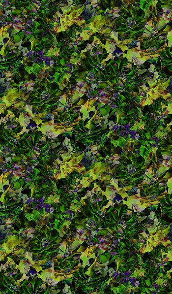 416024-花卉印花壁纸地毯服装华亿平台家纺华亿平台图