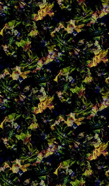 416048-花卉印花壁纸地毯服装华亿平台家纺华亿平台图