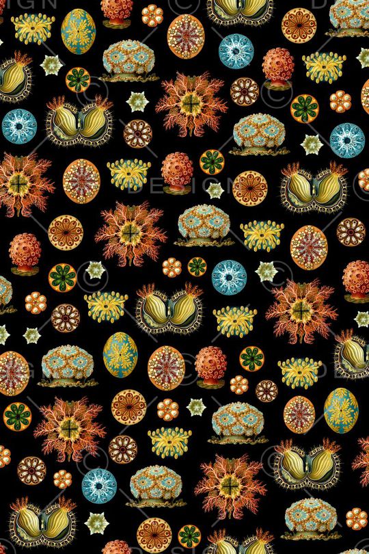 海底生物印花华亿平台图片