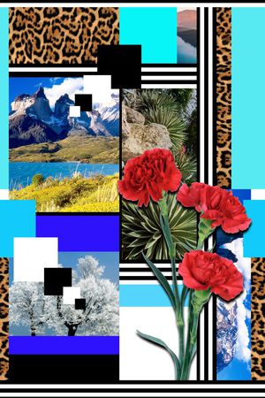 拼贴印花华亿平台图片