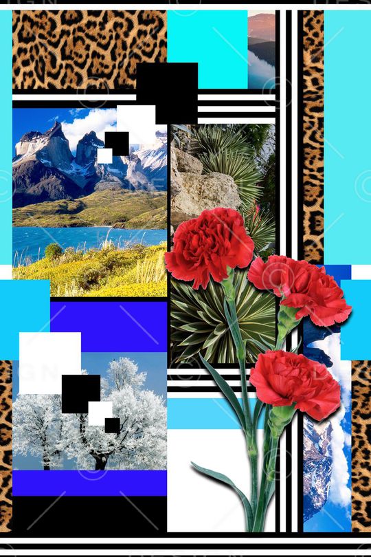 拼贴印花华亿平台图片