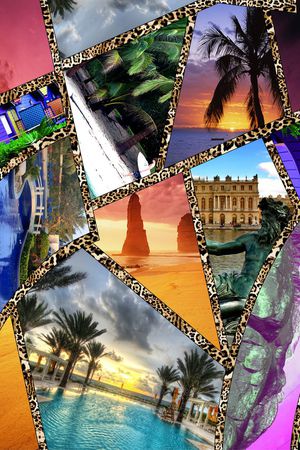 豹纹印花华亿平台图片