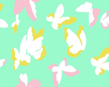 416634-时尚大蝴蝶花