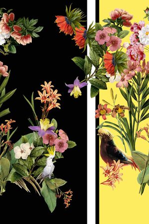 手绘花卉鸟印花华亿平台图片