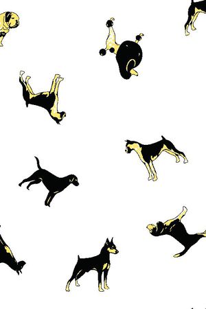 动物印花华亿平台图片