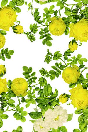 30803 上循环印花华亿平台图片