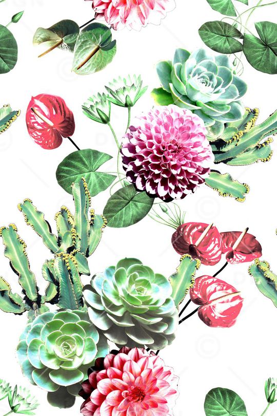 热带风印花华亿平台图片