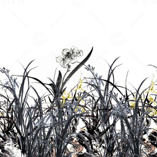 花朵印花华亿平台图片