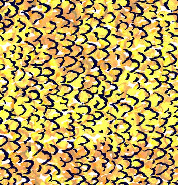 417158-波纹and豹纹