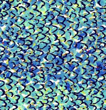 417160-波纹and豹纹