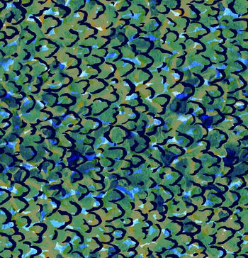 417161-波纹and豹纹